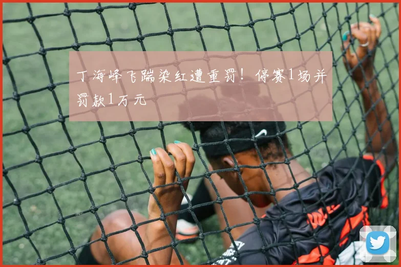 丁海峰飞踹染红遭重罚！停赛1场并罚款1万元
