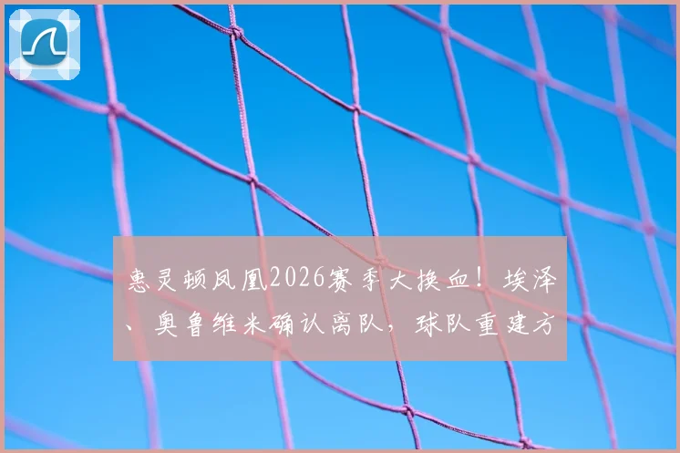 惠灵顿凤凰2026赛季大换血！埃泽、奥鲁维米确认离队，球队重建方向与新援目标深度解读